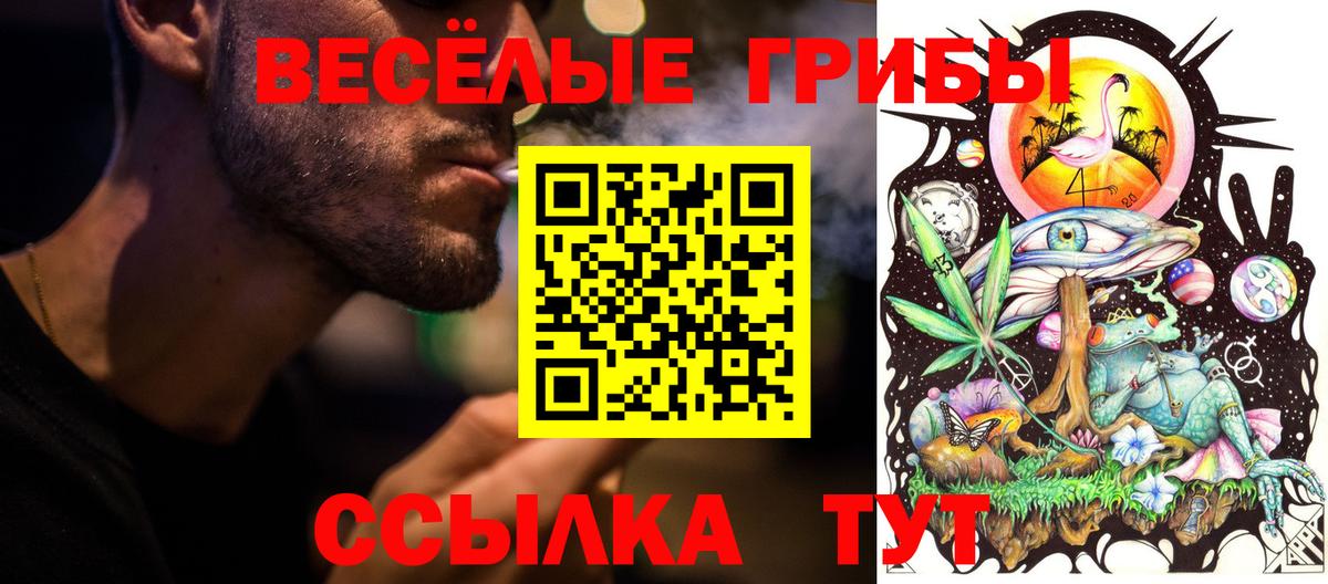 Галлюциногенные грибы Cubensis Прокопьевск